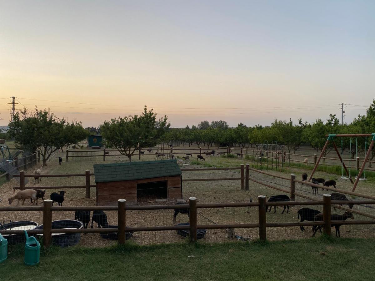 Agriturismo San Michele Экстерьер фото